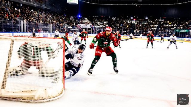 Photo hockey match Cergy-Pontoise - Angers  le 27/01/2026