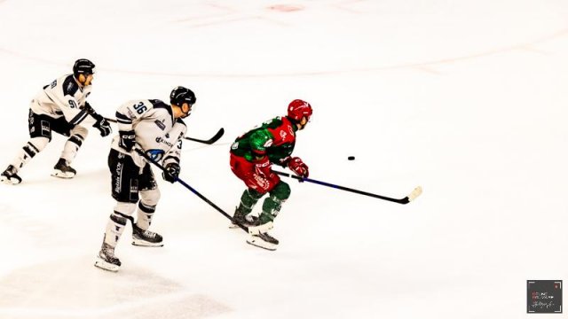 Photo hockey match Cergy-Pontoise - Marseille le 24/02/2026