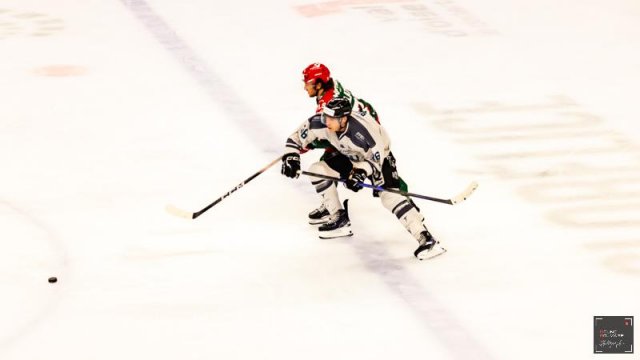 Photo hockey match Cergy-Pontoise - Marseille le 24/02/2026