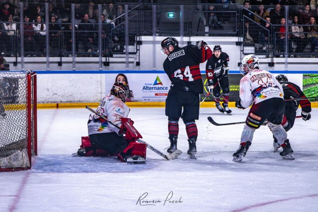 Photo hockey match Toulouse-Blagnac - La Roche-sur-Yon le 15/03/2026