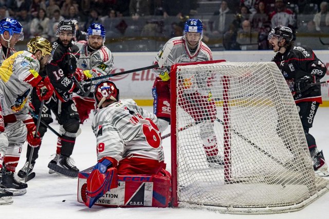 Photo hockey match Bordeaux - Grenoble  le 14/04/2026