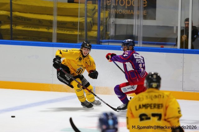 Photo hockey match Rouen - Düsseldorf le 05/09/2026