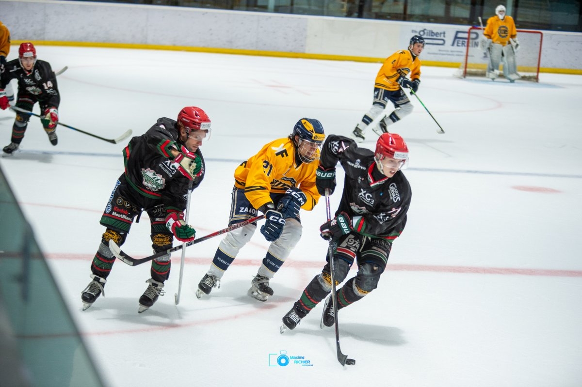 Mont-Blanc 1 - 4 Villard-de-Lans