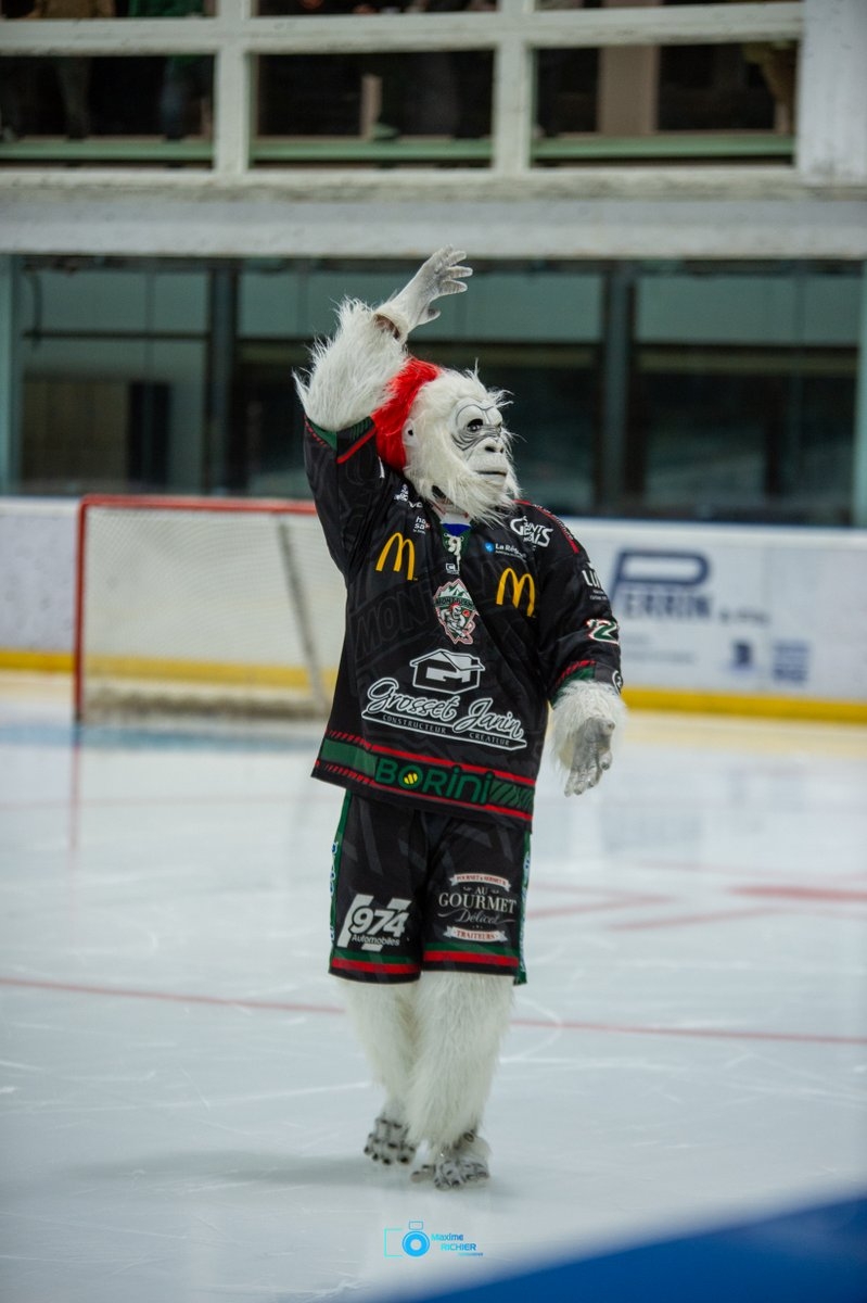 Mont-Blanc 1 - 4 Villard-de-Lans