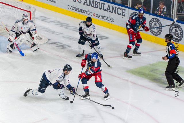 Photo hockey match Grenoble  - Angers  le 15/09/2026