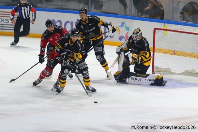 Photo hockey match Rouen - Amiens  le 29/09/2026