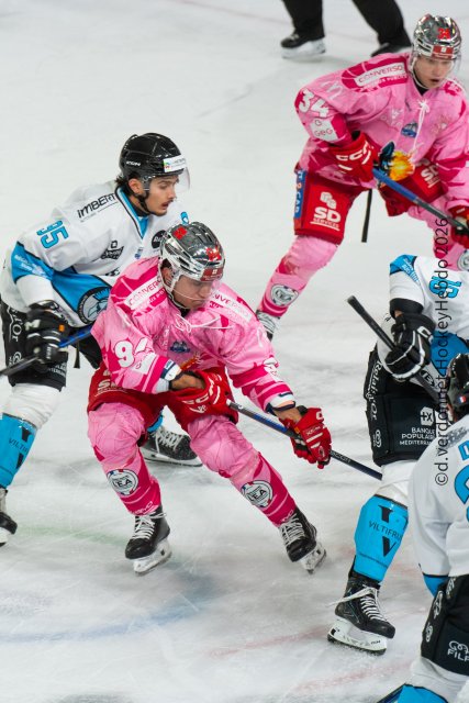 Photo hockey match Grenoble  - Marseille le 04/10/2026