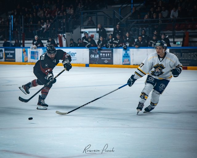 Photo hockey match Toulouse-Blagnac - Toulon le 17/10/2026