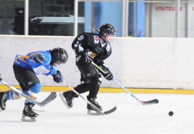 Photo hockey reportage Tournoi Cherbourg : Résultats et Photos