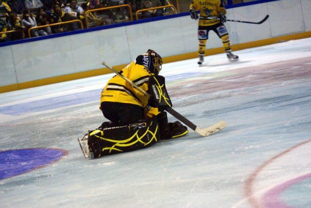 Photo hockey reportage Trophée des champions aux Dragons