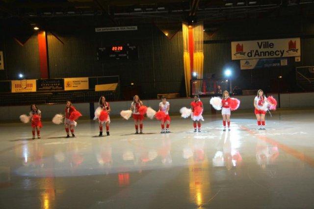 Photo hockey match Annecy - Clermont-Ferrand le 20/11/2010