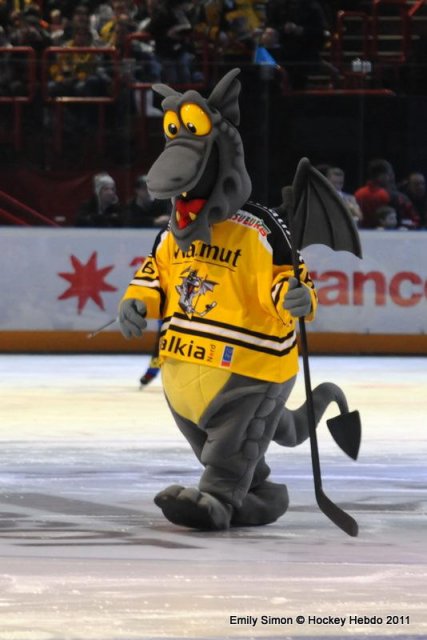 Photo hockey reportage Finale Coupe de France 2011 : Reportage photos 4