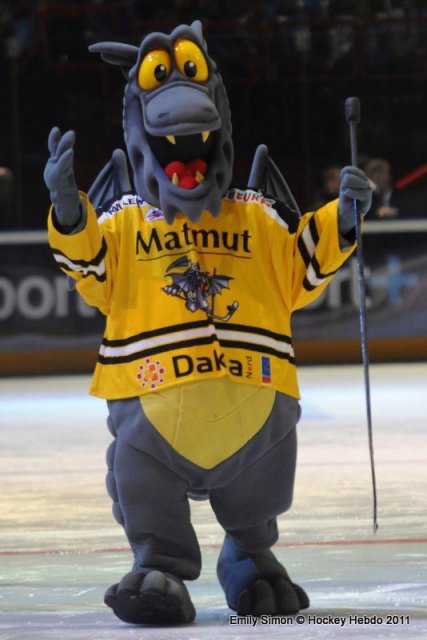 Photo hockey reportage Finale Coupe de France 2011 : Reportage photos 4
