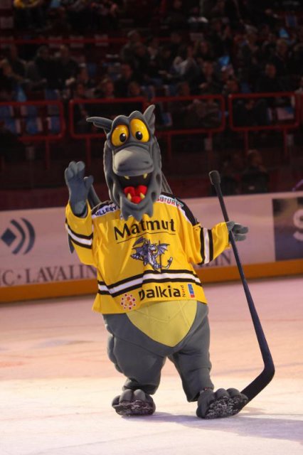 Photo hockey reportage Finale Coupe de France 2011 : Reportage photos 1