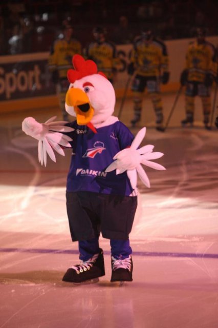 Photo hockey reportage Finale Coupe de France 2011 : Reportage photos 1