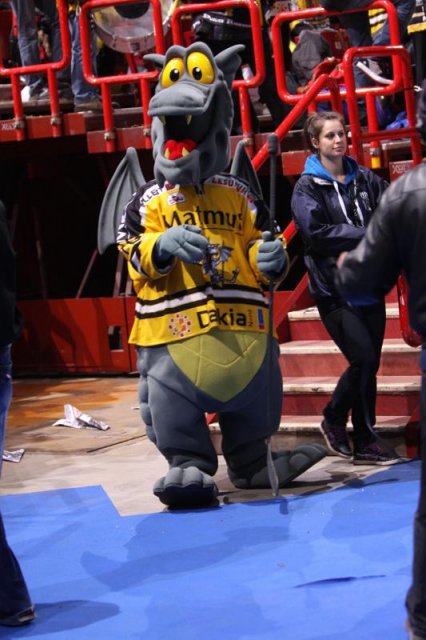Photo hockey reportage Finale Coupe de France 2011 : Reportage photos 1