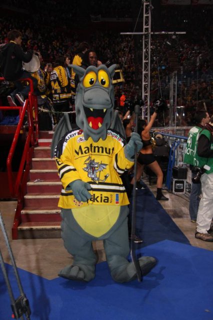 Photo hockey reportage Finale Coupe de France 2011 : Reportage photos 1