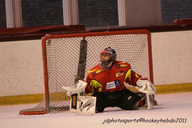 Photo hockey match Orléans - Paris (FV) le 05/03/2011