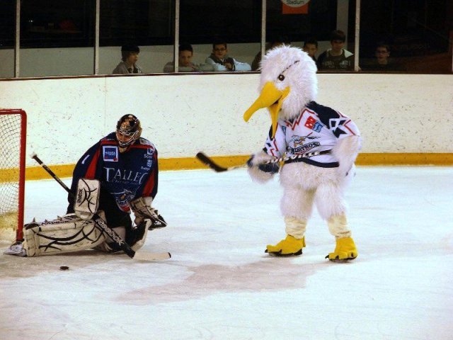 Photo hockey match Brest  - Toulouse-Blagnac le 19/03/2011