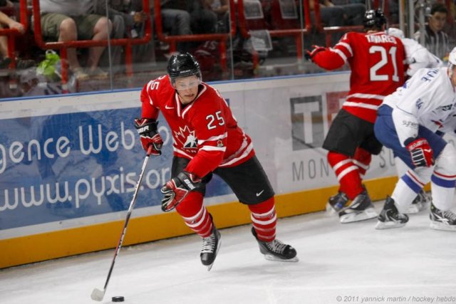 Photo hockey reportage France Canada : Vu par Yannick 