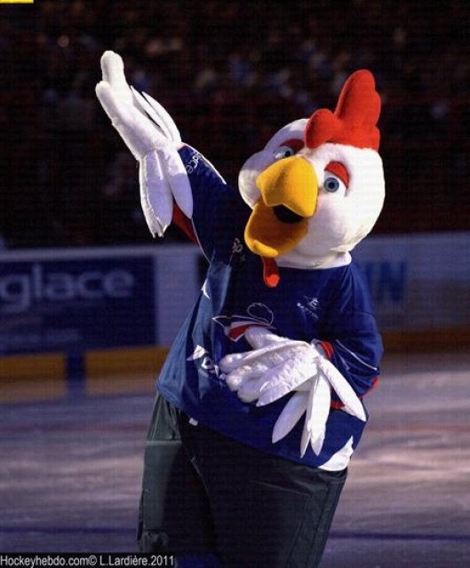 Photo hockey reportage France Canada : Vu par Laurent