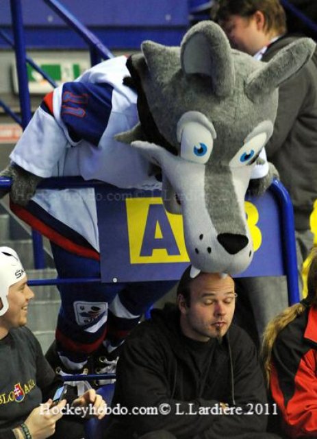 Photo hockey reportage Mondial 11: Pas de miracle autrichien