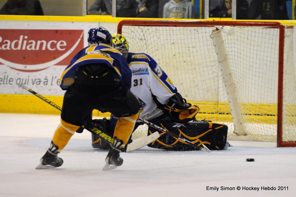 Dijon  11 - 3 Villard-de-Lans