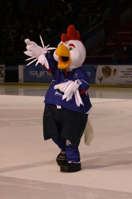Photo hockey album EDF - France VS Norvège (Lyon)
