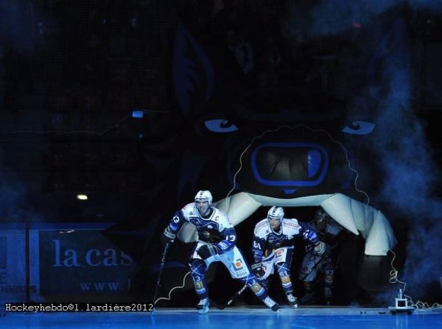 Photo hockey album BDL-OURS(LM2012)