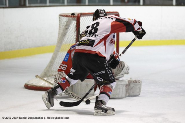 Photo hockey match Valence - Mulhouse le 14/01/2012