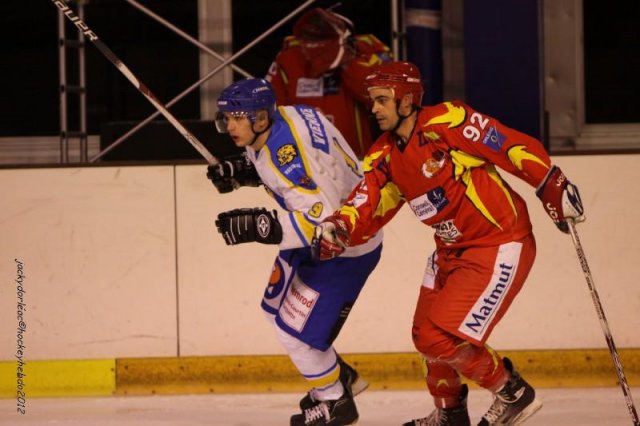 Photo hockey match Orléans - Wasquehal Lille le 28/01/2012