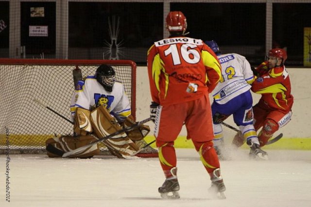 Photo hockey match Orléans - Wasquehal Lille le 28/01/2012