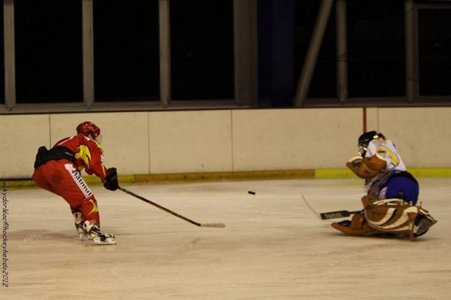 Photo hockey match Orléans - Wasquehal Lille le 28/01/2012