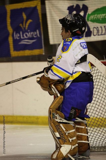 Photo hockey match Orléans - Wasquehal Lille le 28/01/2012