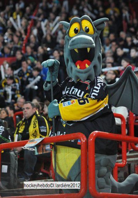 Photo hockey reportage  Coupe de France 2012  tout en image Laurent 