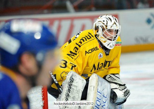 Photo hockey reportage  Coupe de France 2012  tout en image Laurent 