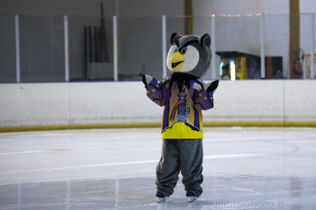 Photo hockey reportage PO D3 : play-off : Des Hiboux trop tendres