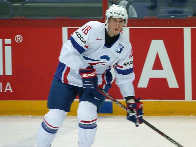 Photo hockey album Mondial 12 - Slovaquie VS France