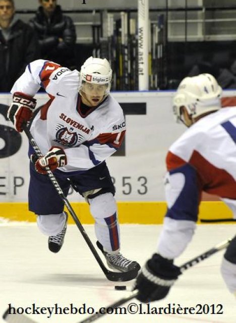 Photo hockey reportage France 6 - Kopitar 1 