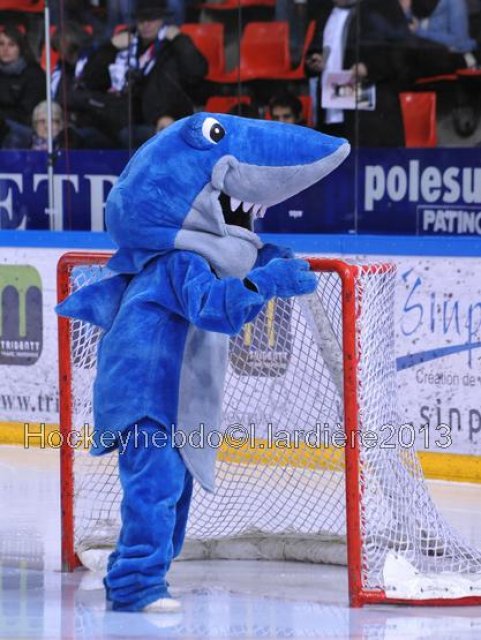 Photo hockey match Grenoble  - Epinal  le 12/01/2013