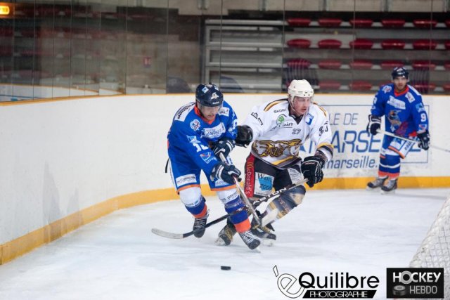 Photo hockey match Marseille - Chambéry II le 02/02/2013