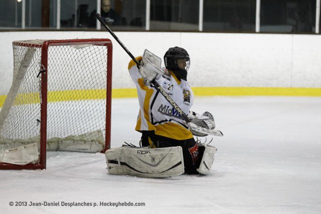 Photo hockey match Valence - Strasbourg II le 16/02/2013