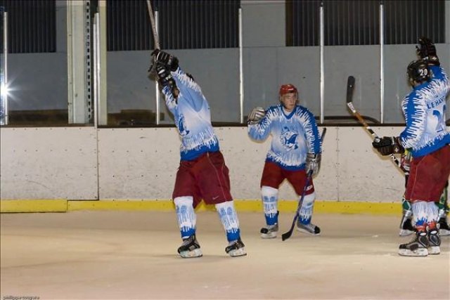 Photo hockey reportage D3 - Le Havre / Louviers : Avalanche de buts