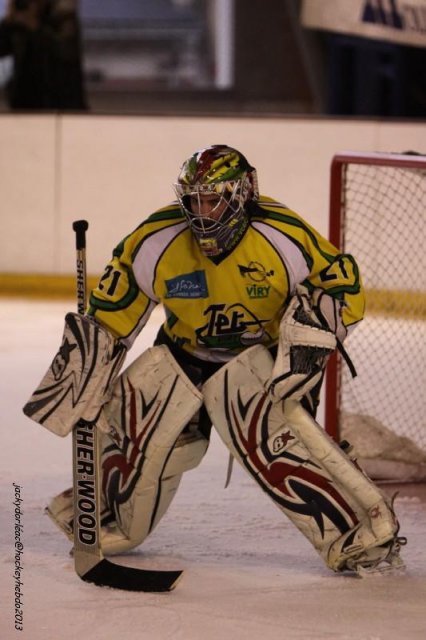 Photo hockey match Orléans - Viry-Châtillon le 09/03/2013