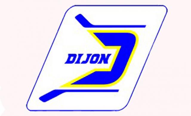 Photo hockey 8ème finale COS-Est - Hockey Mineur