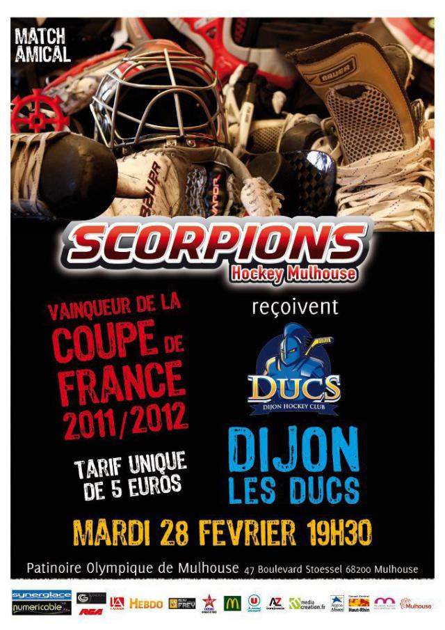 Photo hockey Amical à Mulhouse - Hockey en France