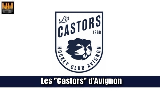 Photo hockey Avignon D3 recrute joueurs français - Division 3