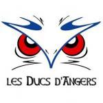 Photo hockey CDL Angers : Dernière minute - Ligue Magnus : Angers  (Les Ducs)