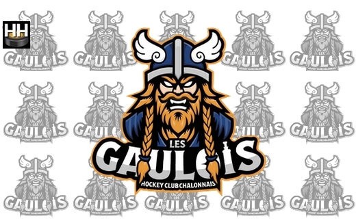 Photo hockey Châlons - Programme de Préparation - Division 2 : Ch�lons-en-Champagne (Les Gaulois)