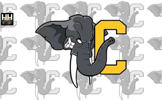 Photo hockey CHAMBERY - Le programme de préparation - Division 1 : Chambéry (Les Eléphants)